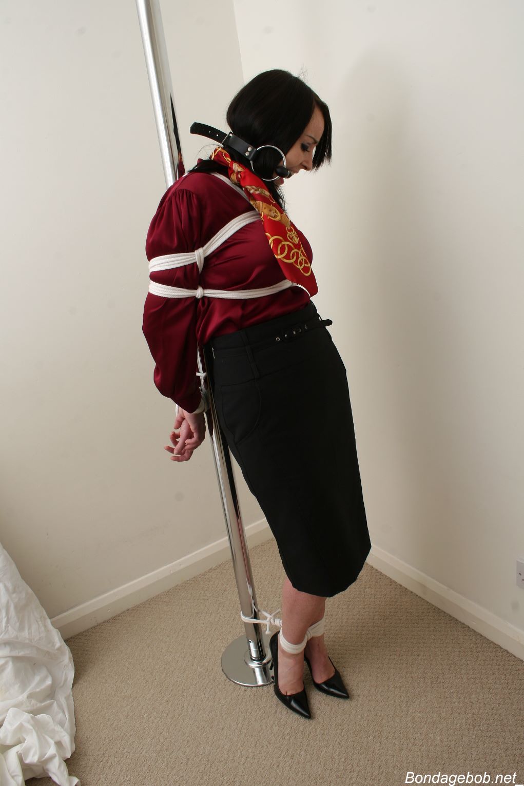 Tied Sexy Beauties 256-3