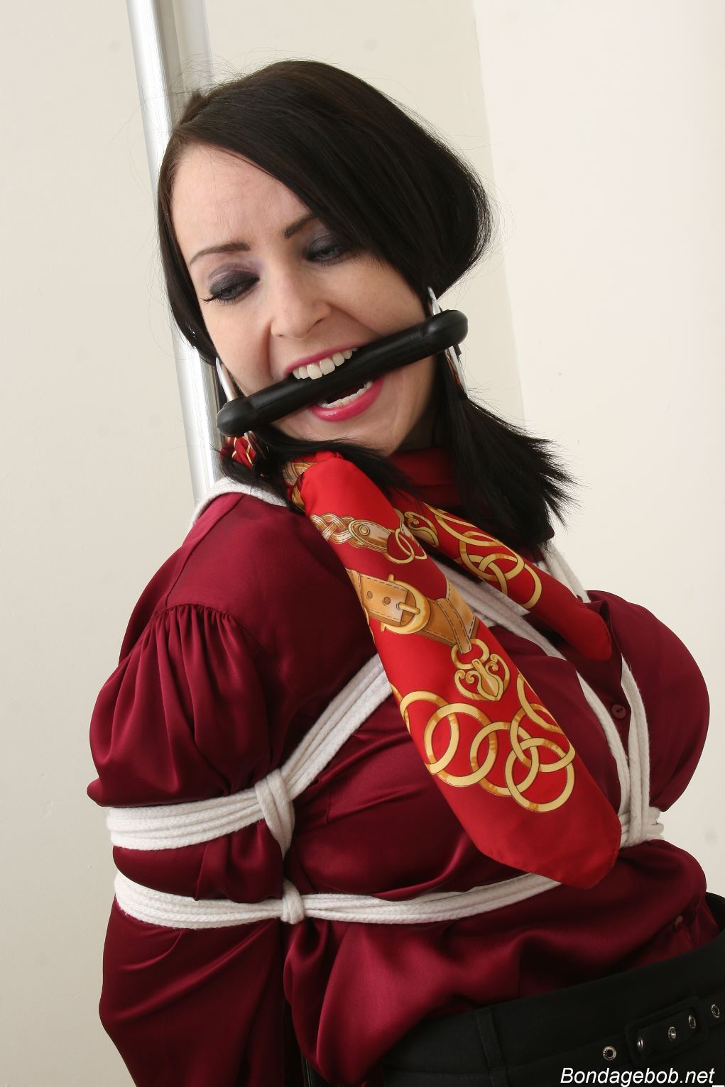 Tied Sexy Beauties 256-3