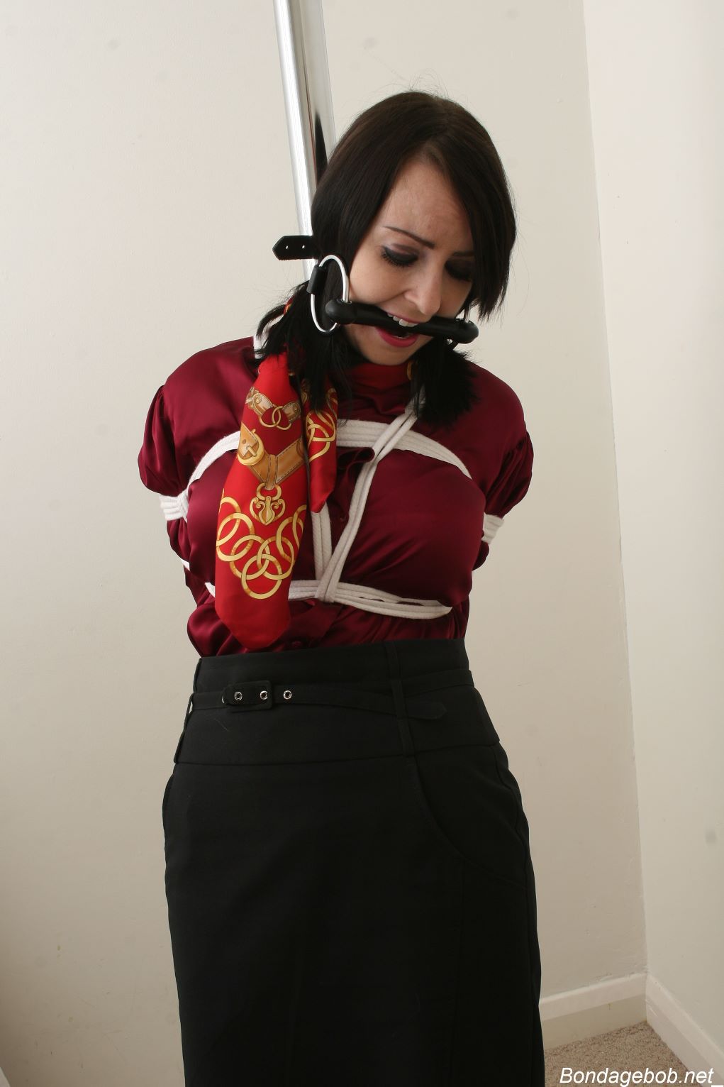 Tied Sexy Beauties 256-3