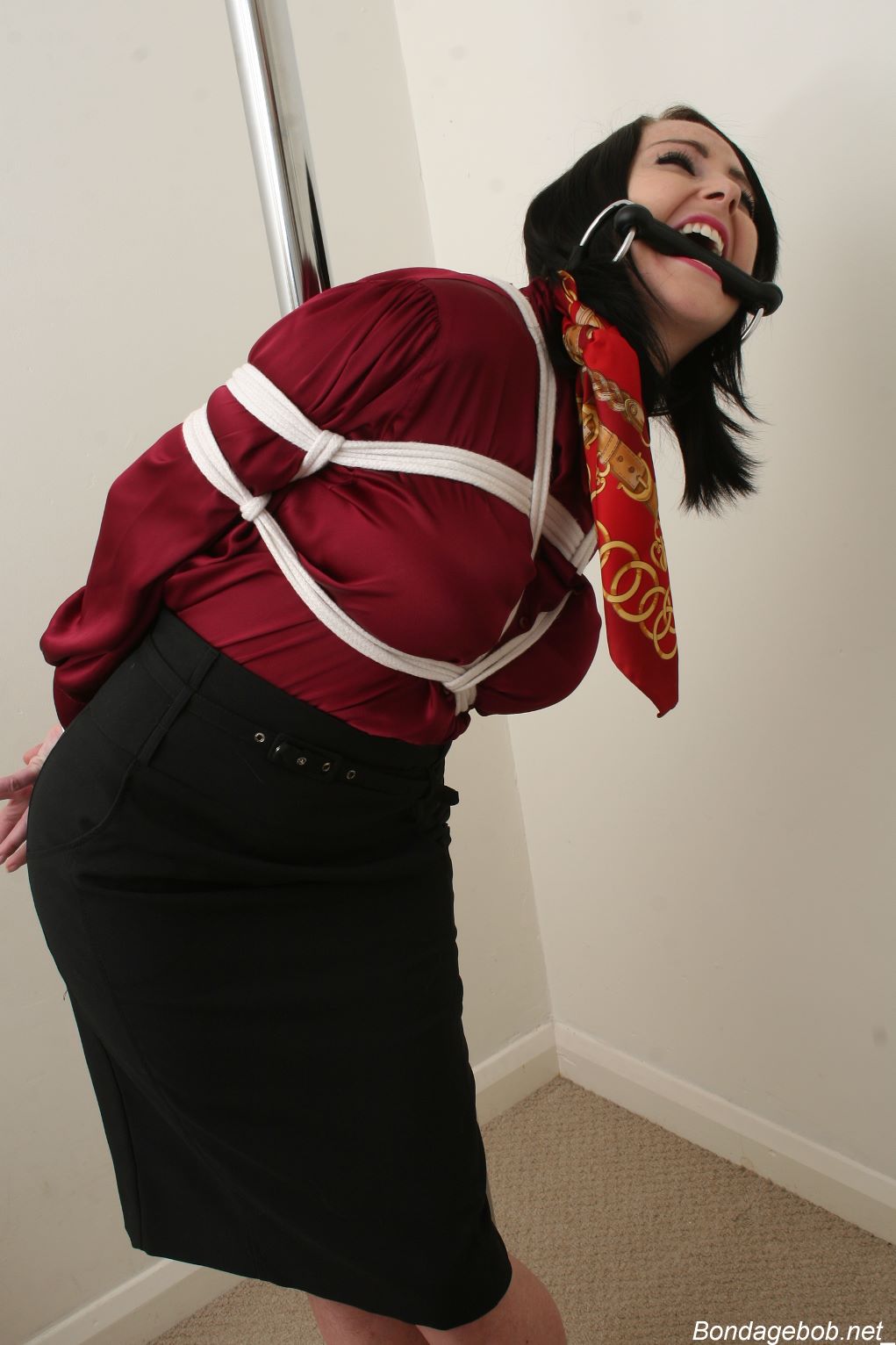 Tied Sexy Beauties 256-3