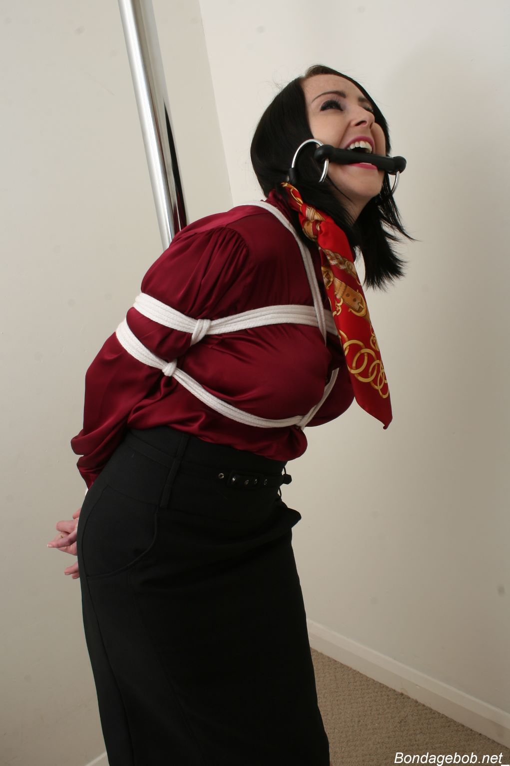 Tied Sexy Beauties 256-3