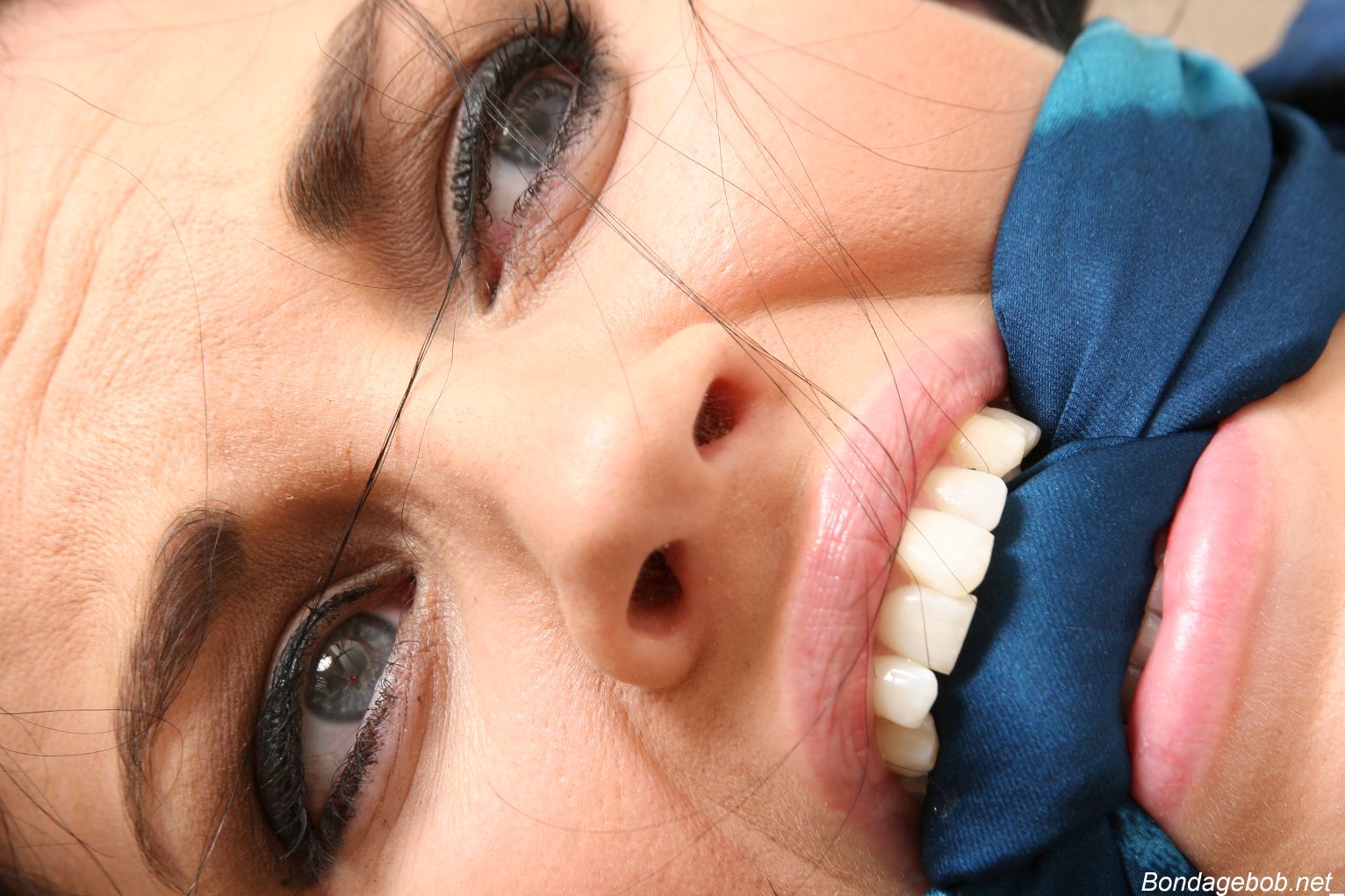 Tied Sexy Beauties 257-3