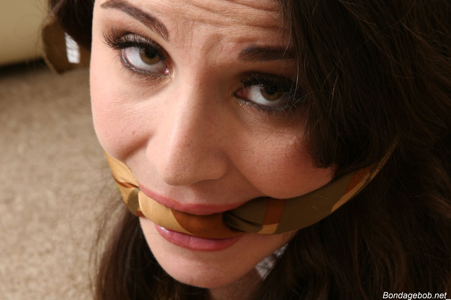 Tied Sexy Beauties 260-2