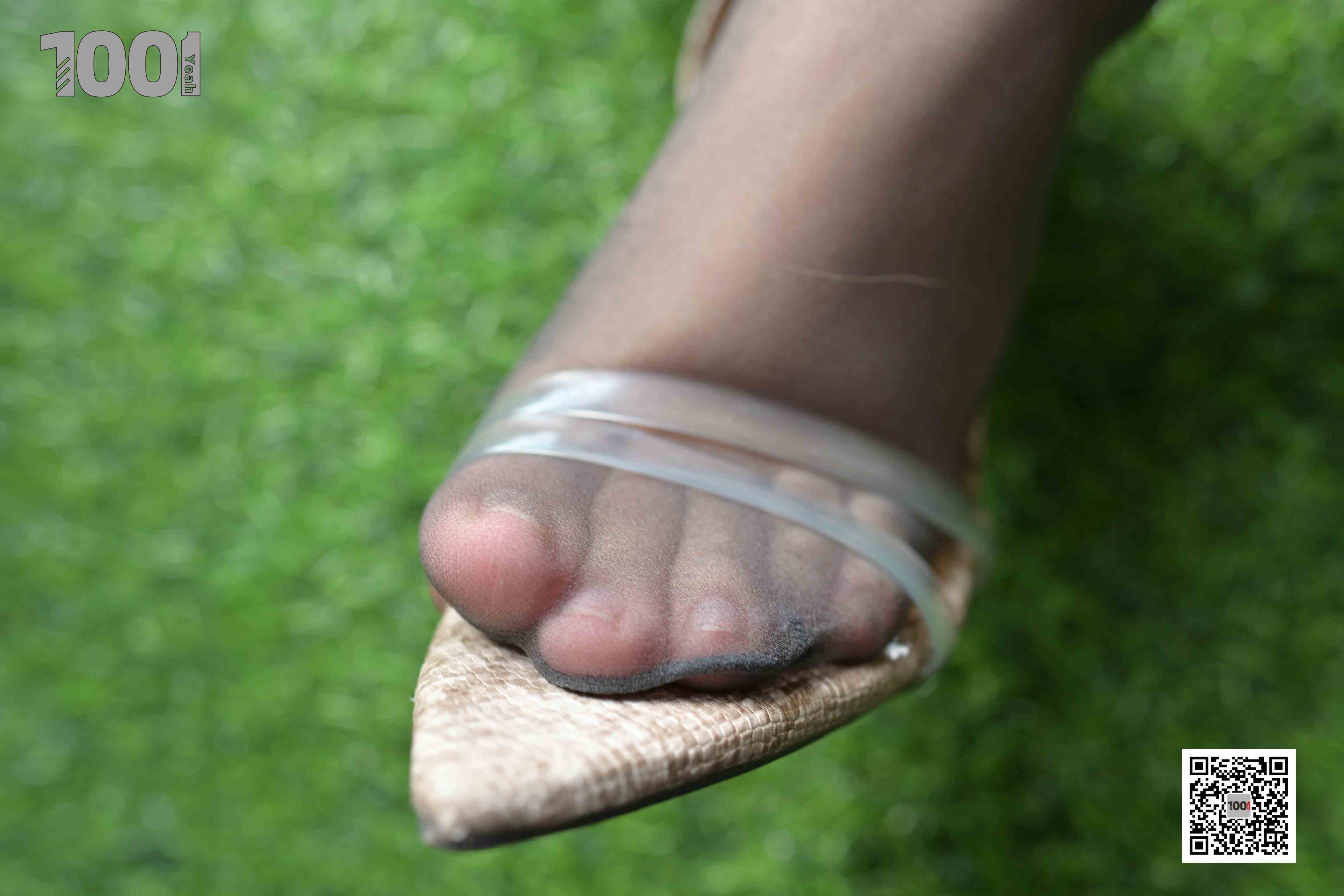 China Beauty Legs and feet 1029