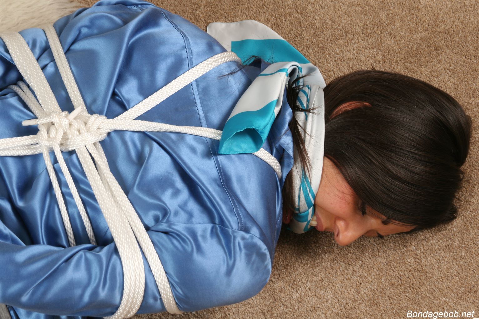 Tied Sexy Beauties 267-2