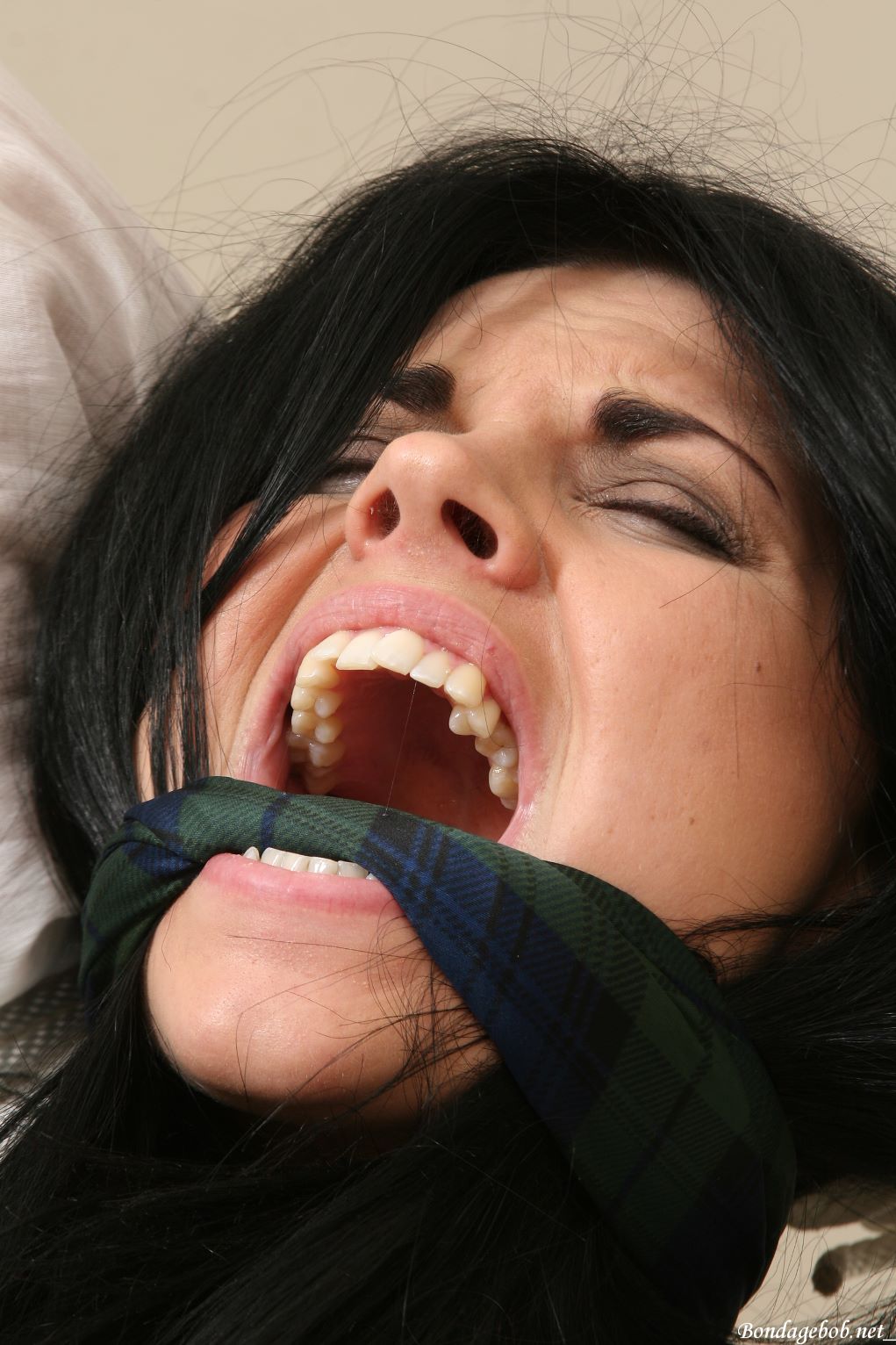 Tied Sexy Beauties 276-2