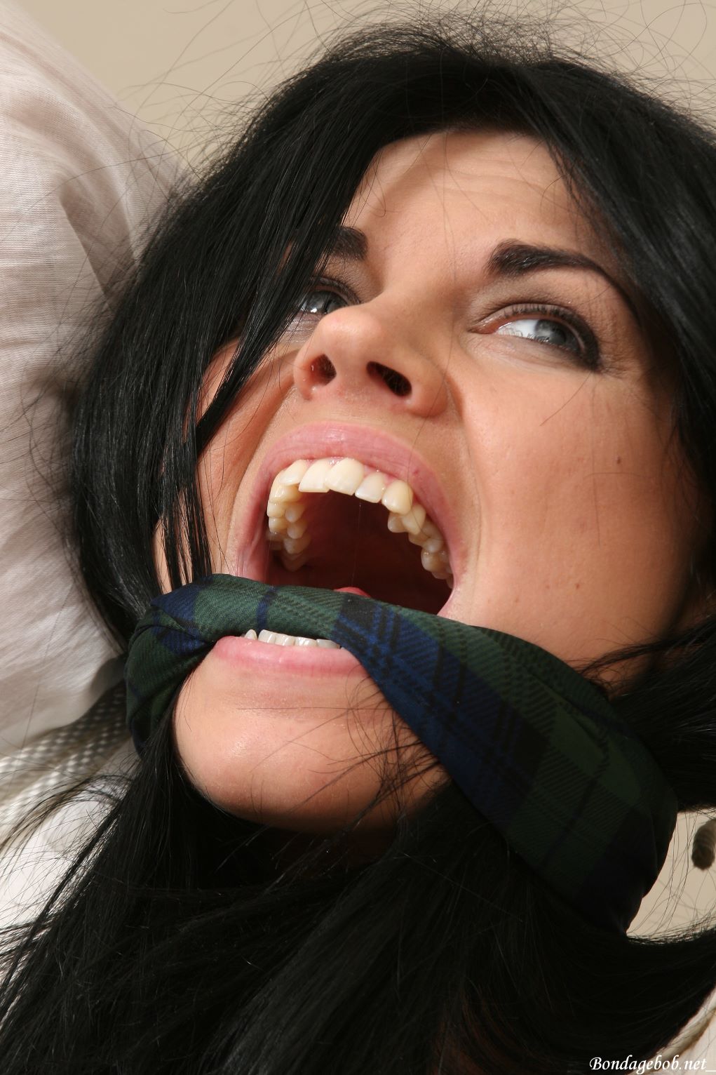 Tied Sexy Beauties 276-2