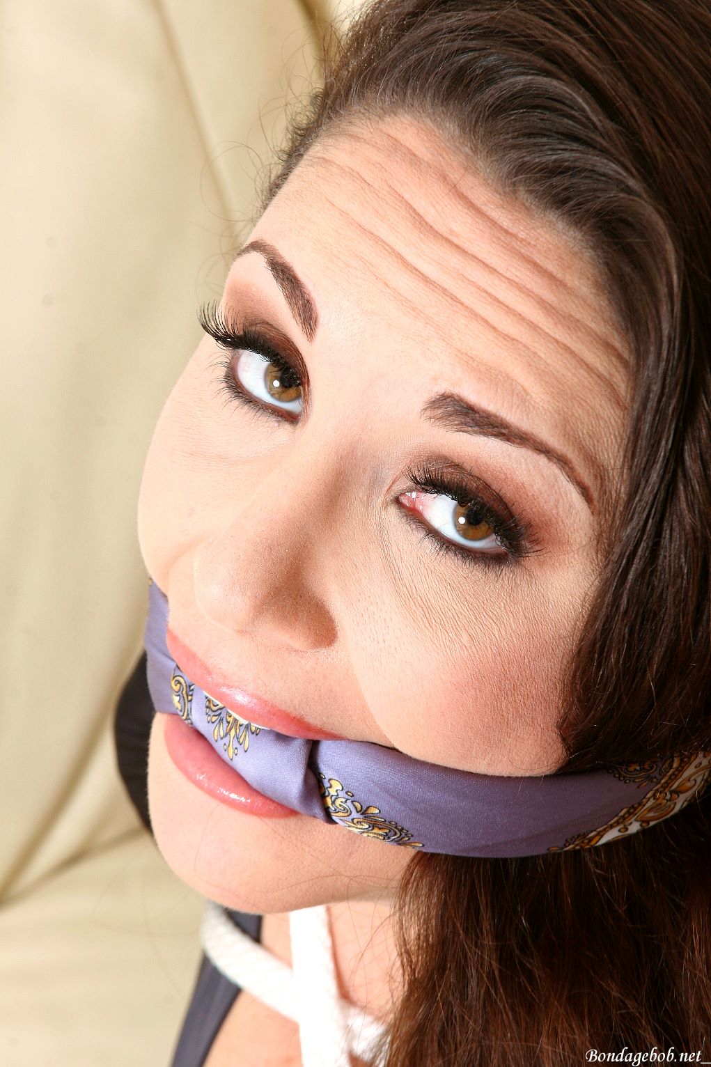 Tied Sexy Beauties 278-1