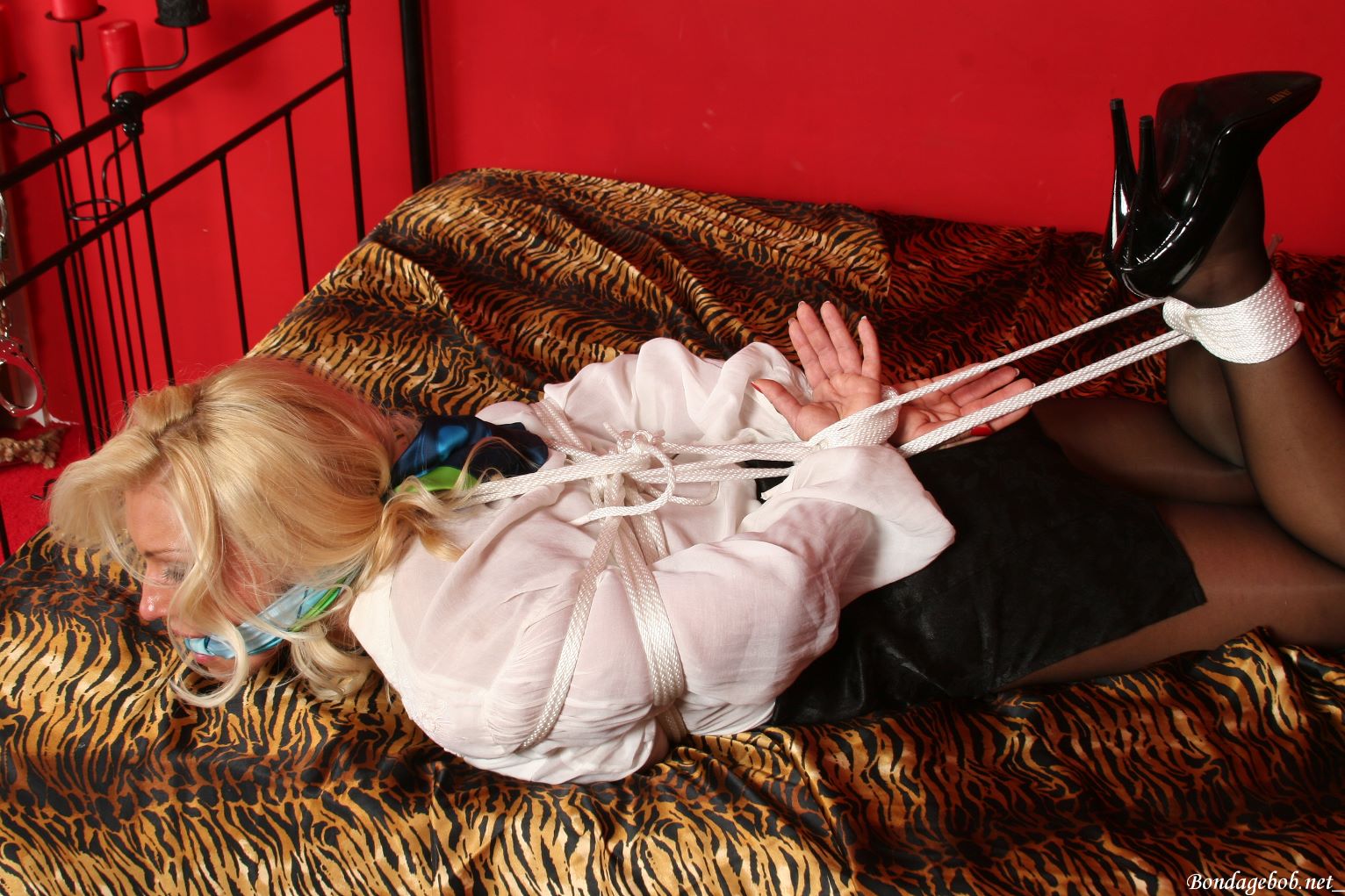 Tied Sexy Beauties 289-2