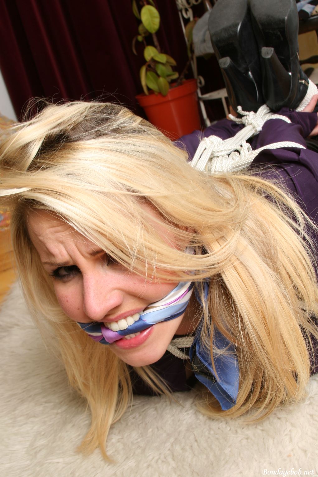 Tied Sexy Beauties 302-3