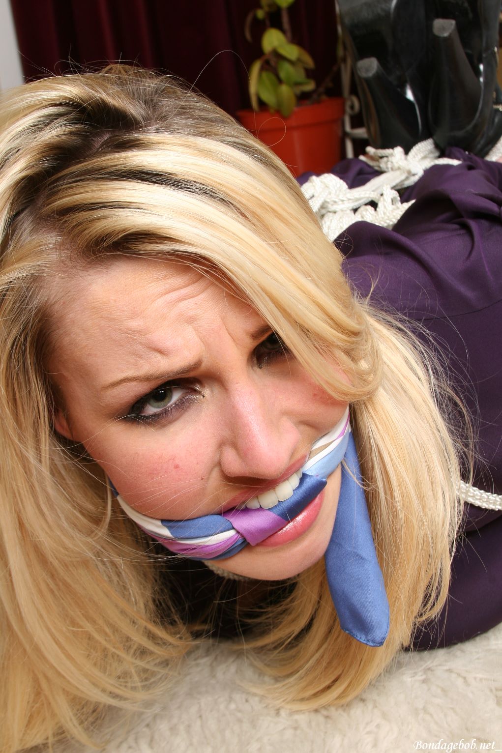 Tied Sexy Beauties 302-3