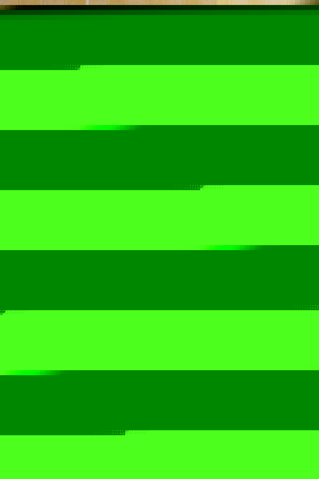 Tied Sexy Beauties 304-2