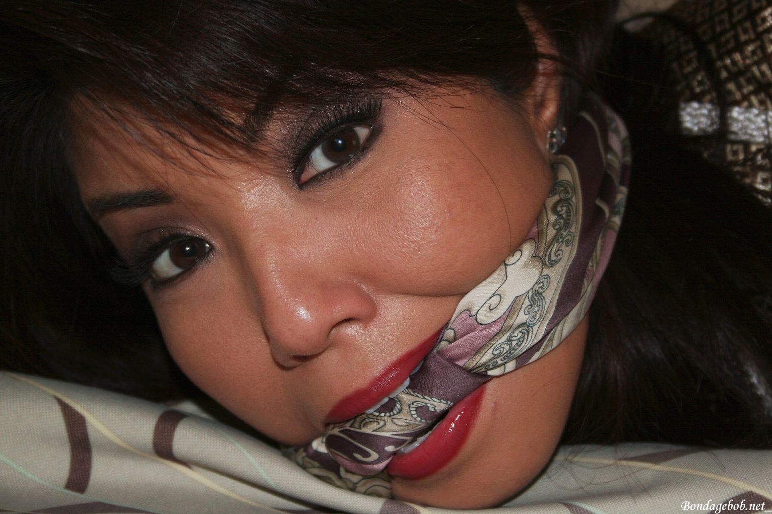 Tied Sexy Beauties 313-2