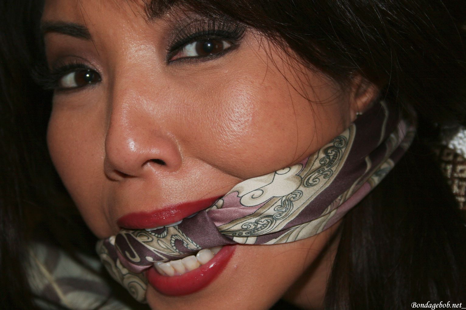 Tied Sexy Beauties 313-2