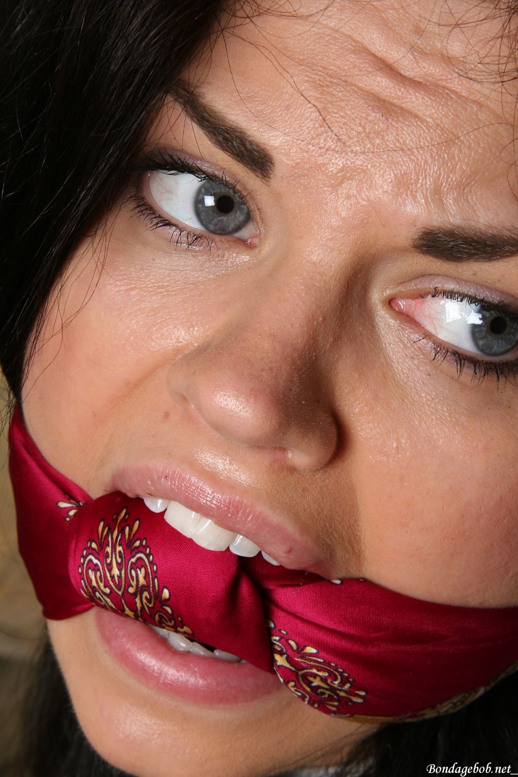 Tied Sexy Beauties 319