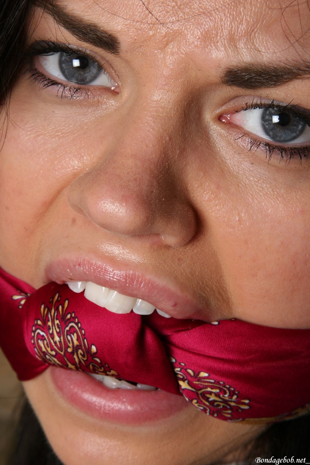 Tied Sexy Beauties 319