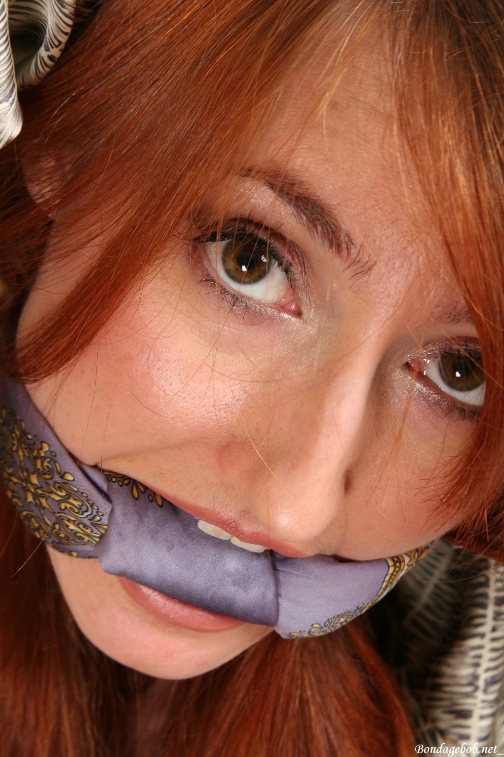 Tied Sexy Beauties 329-3