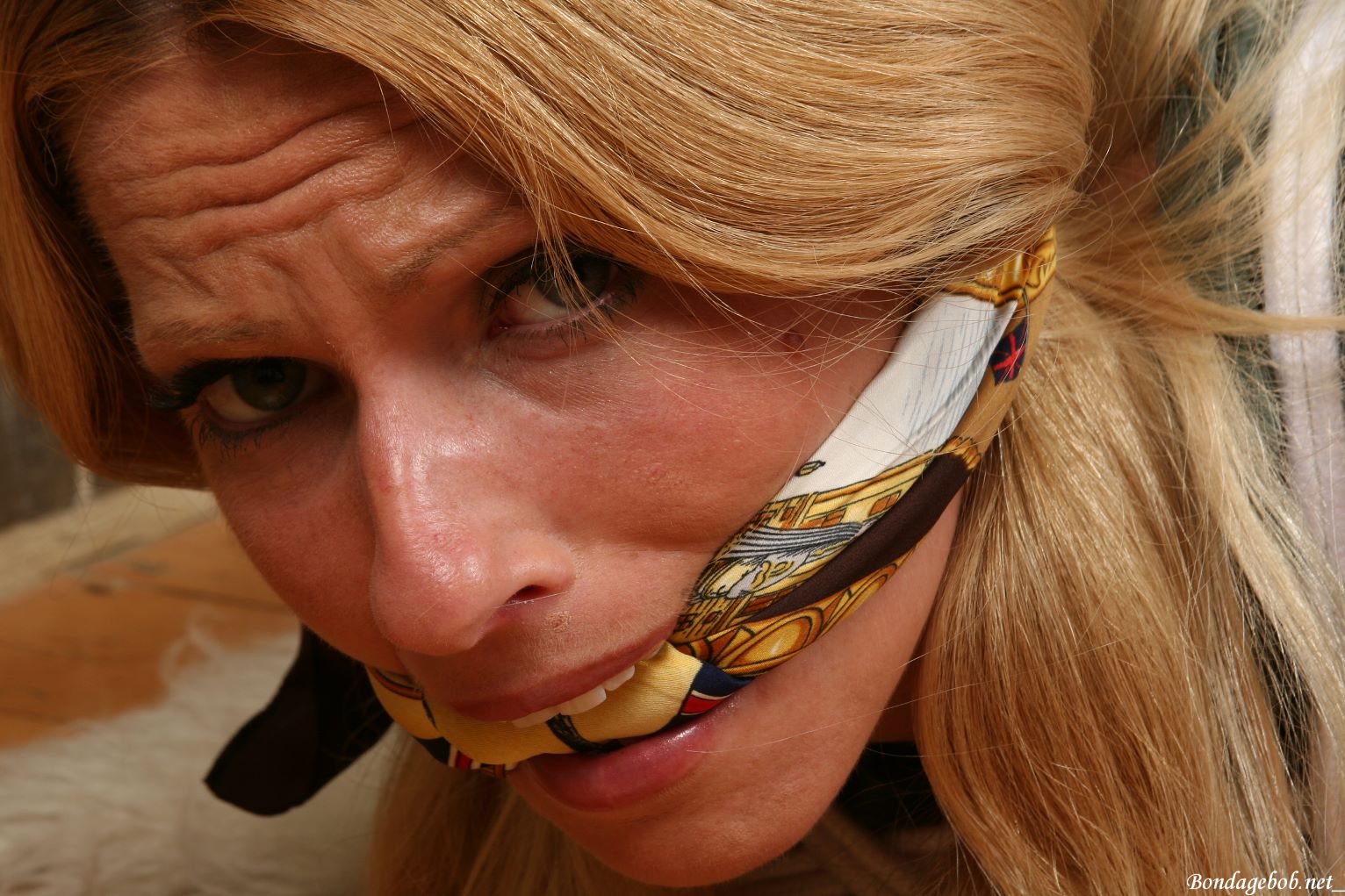 Tied Sexy Beauties 348-2