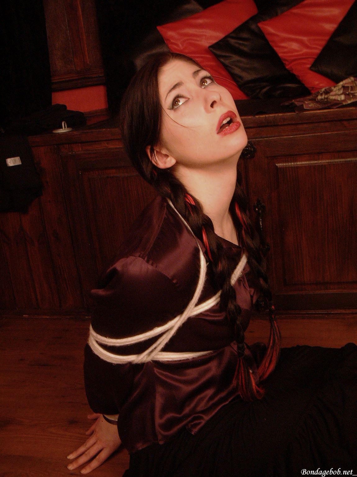 Tied Sexy Beauties 356-1