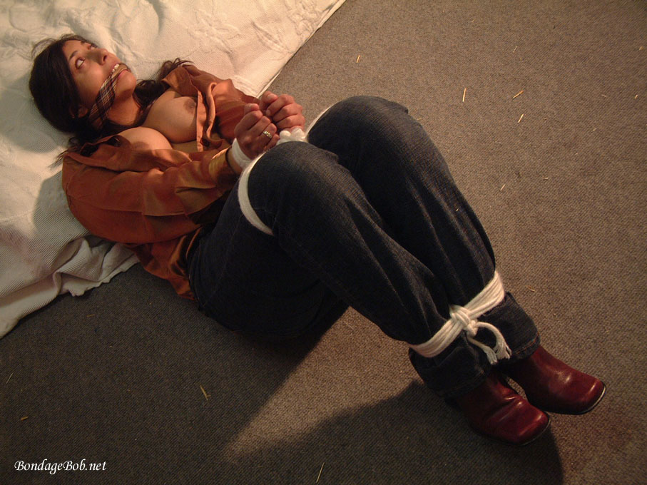 Tied Sexy Beauties 379