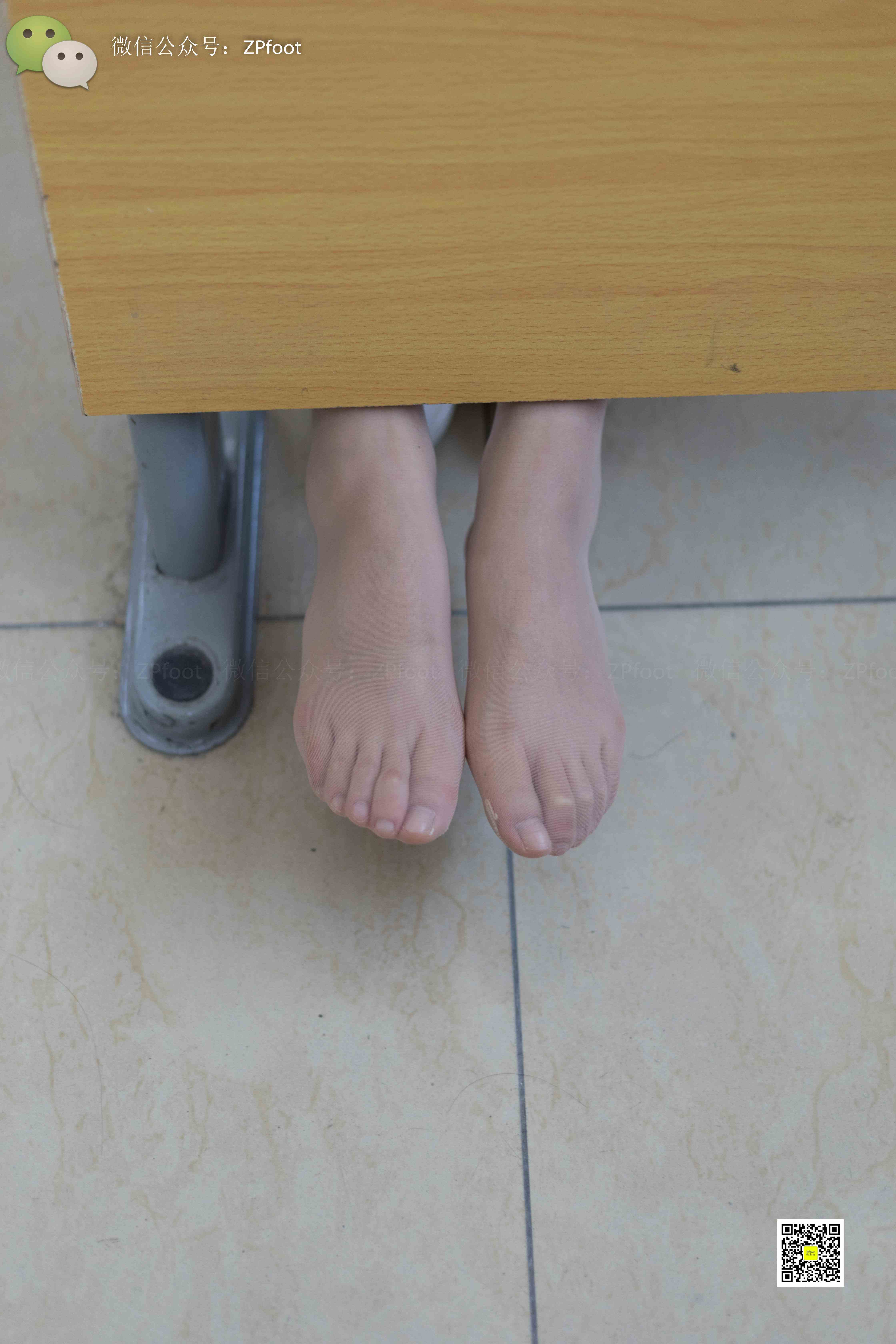 China Beauty Legs and feet 1130