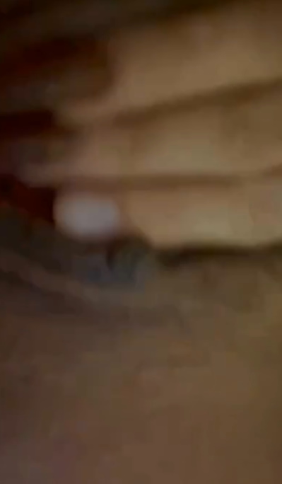 happy day of love and friendship