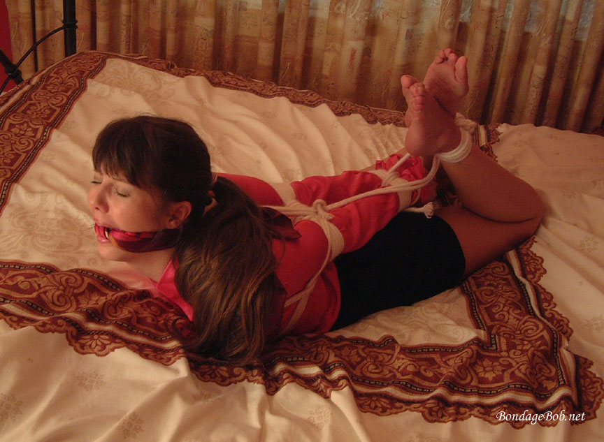 Tied Sexy Beauties 405-2