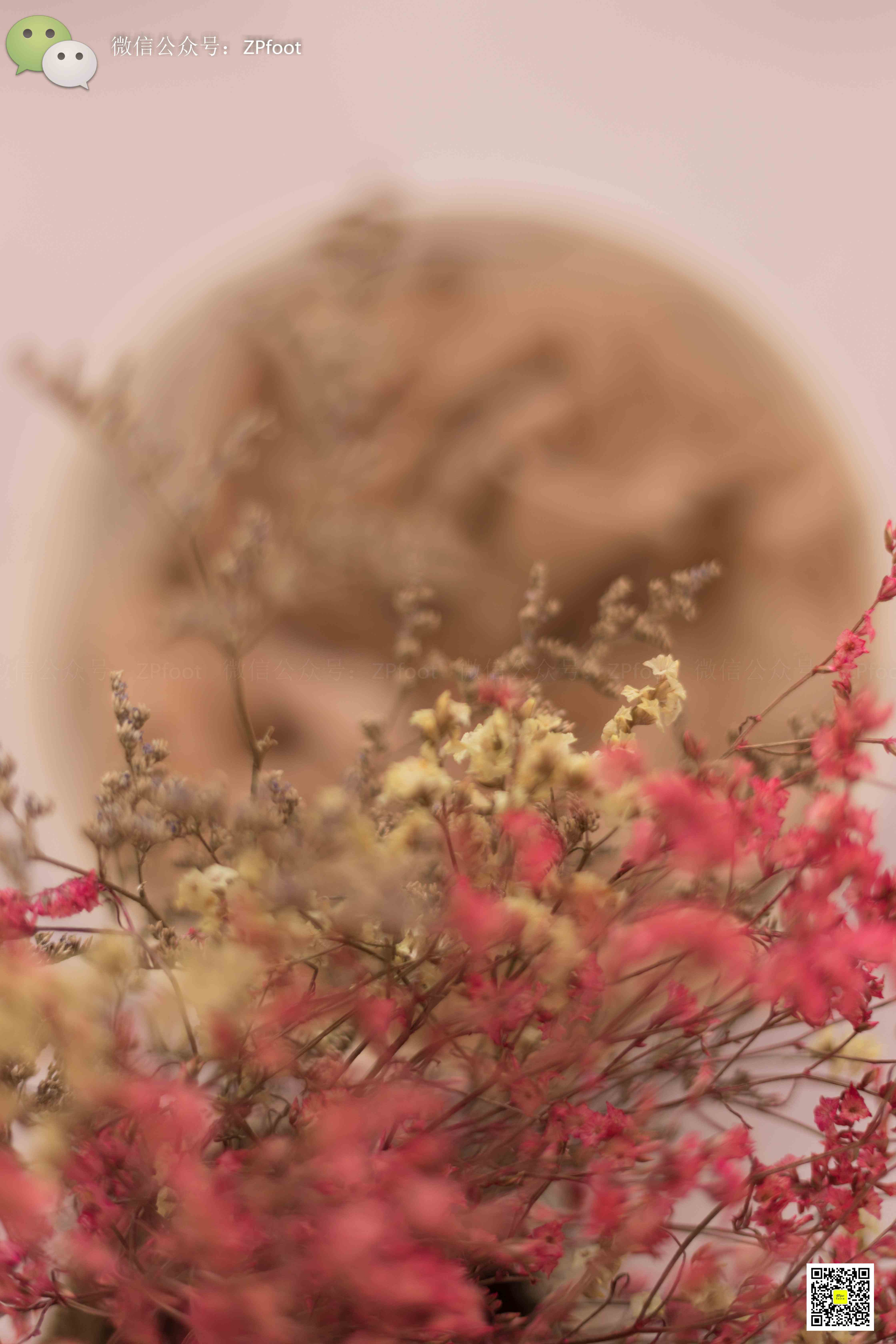 China Beauty Legs and feet 1150