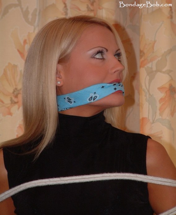 Tied Sexy Beauties 453