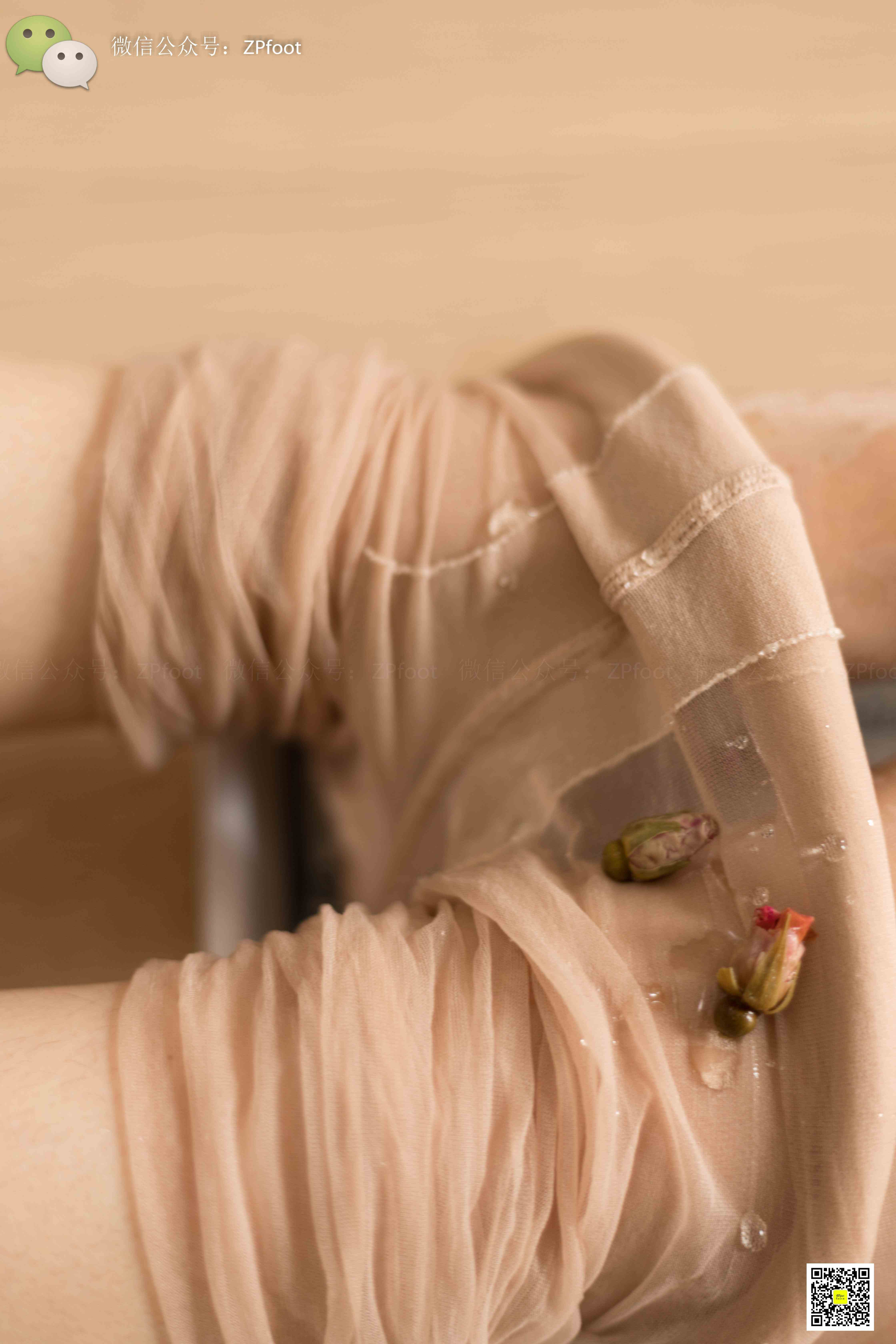 China Beauty Legs and feet 1153