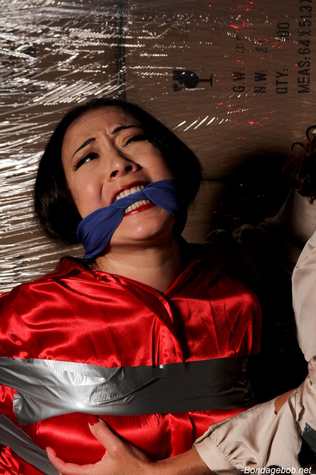 Tied Sexy Beauties 481-2