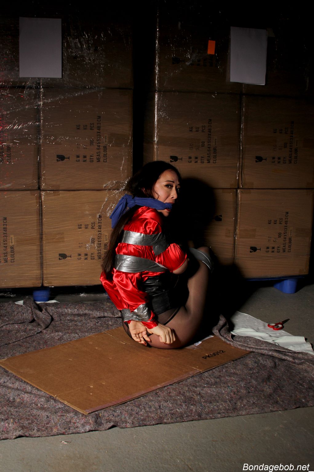 Tied Sexy Beauties 481-3