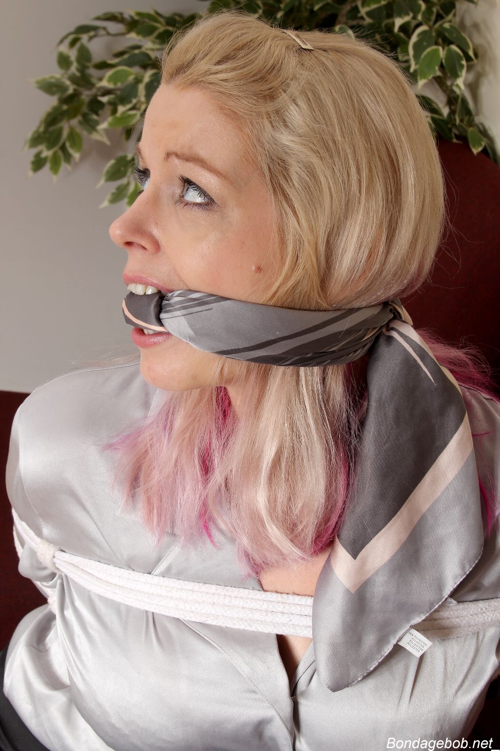 Tied Sexy Beauties 482-2