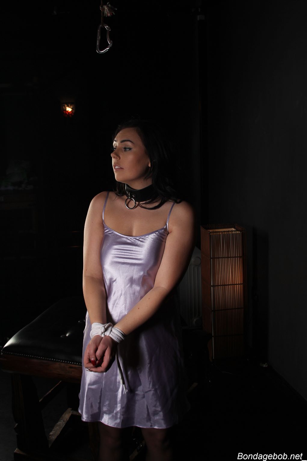 Tied Sexy Beauties 483-1