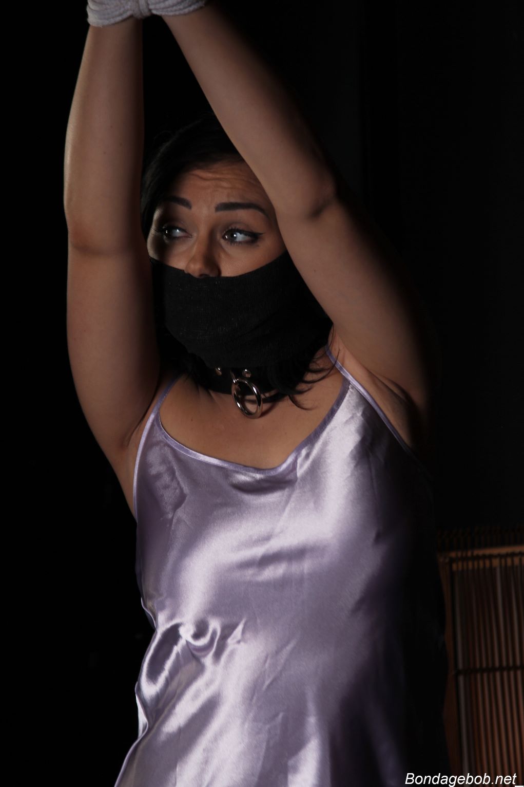 Tied Sexy Beauties 483-2