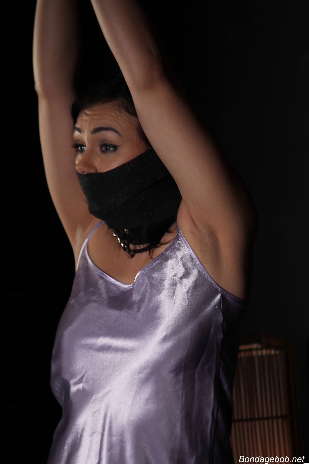 Tied Sexy Beauties 483-2