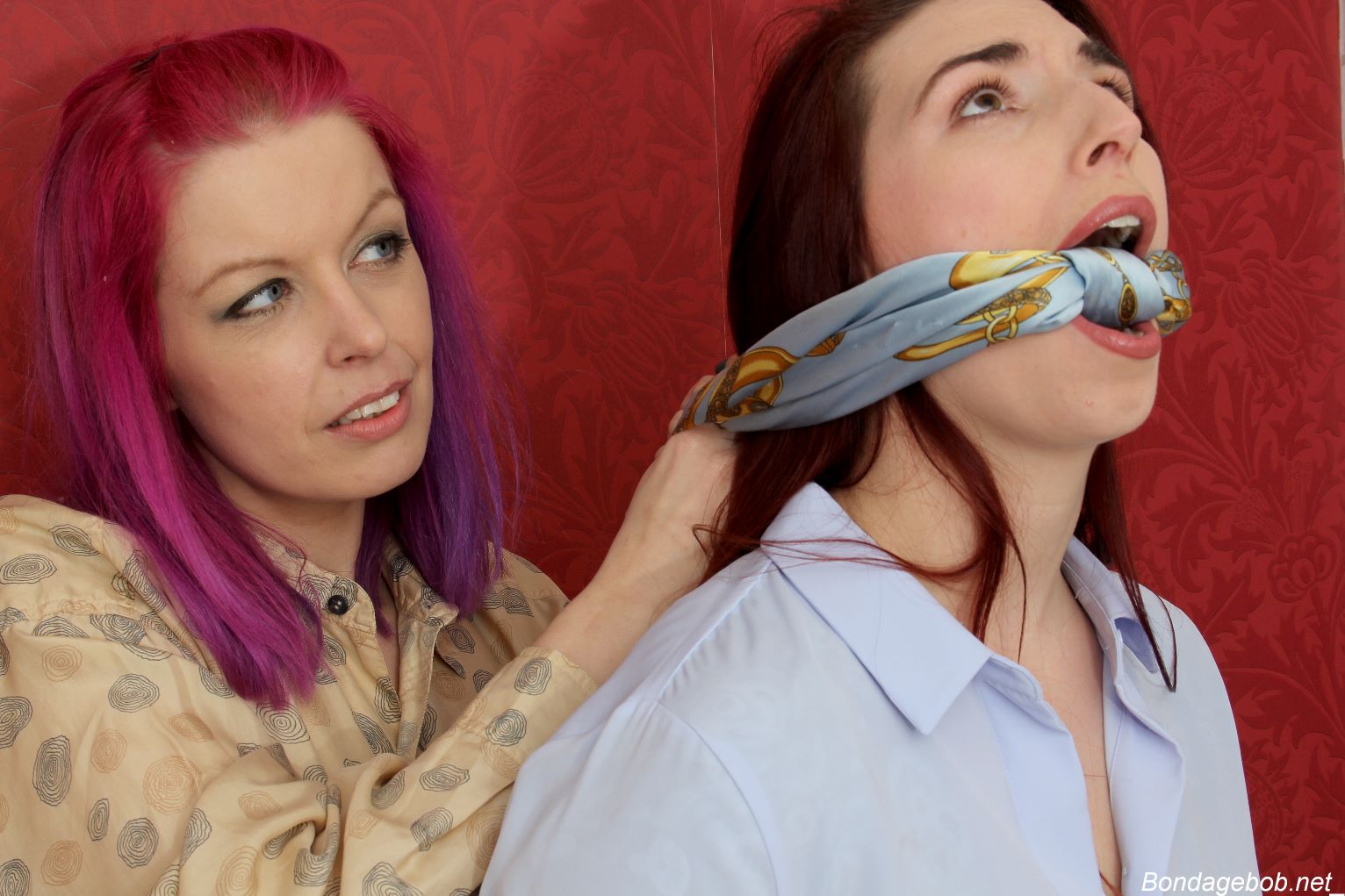 Tied Sexy Beauties 485-1