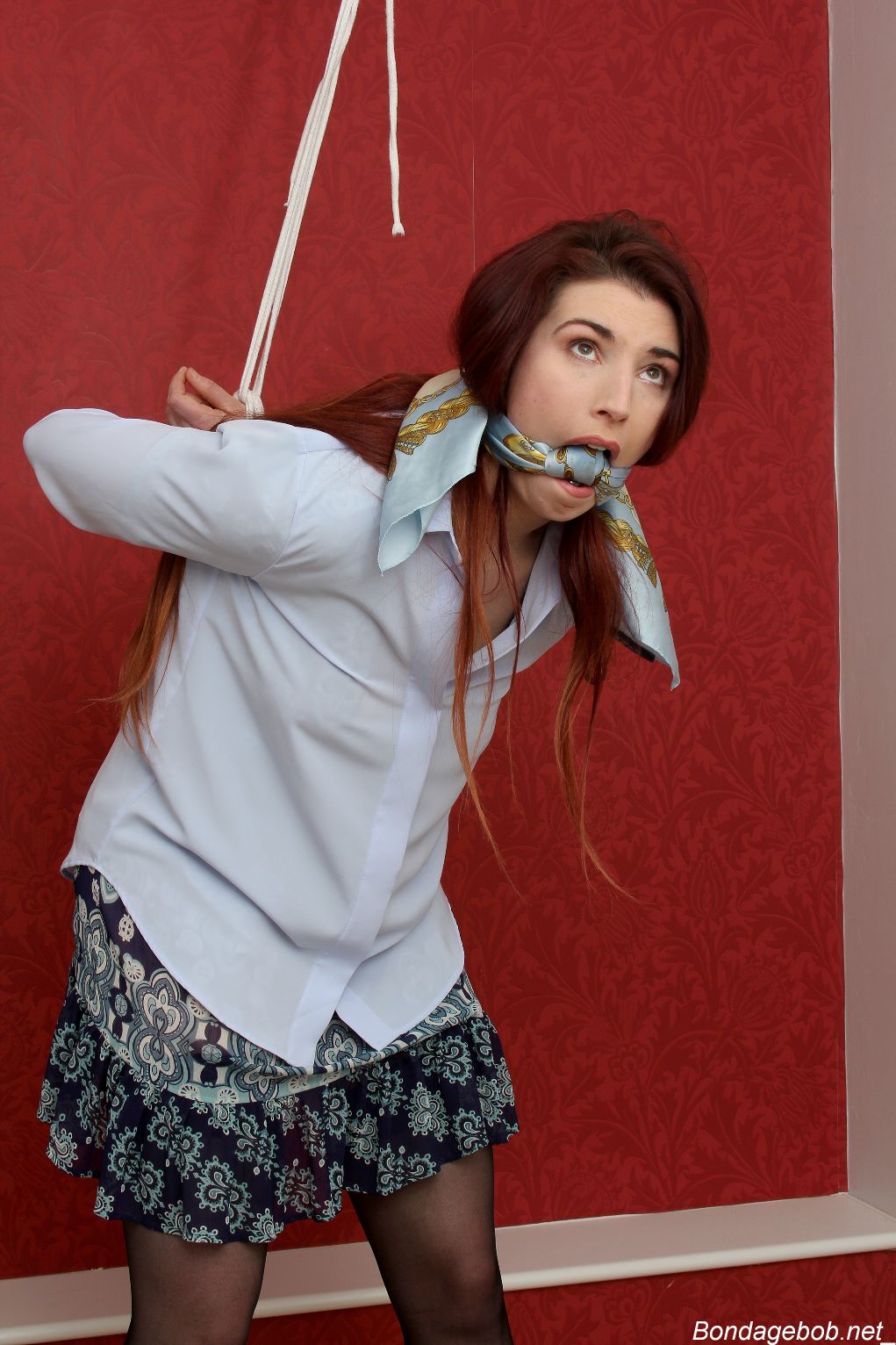 Tied Sexy Beauties 485-2