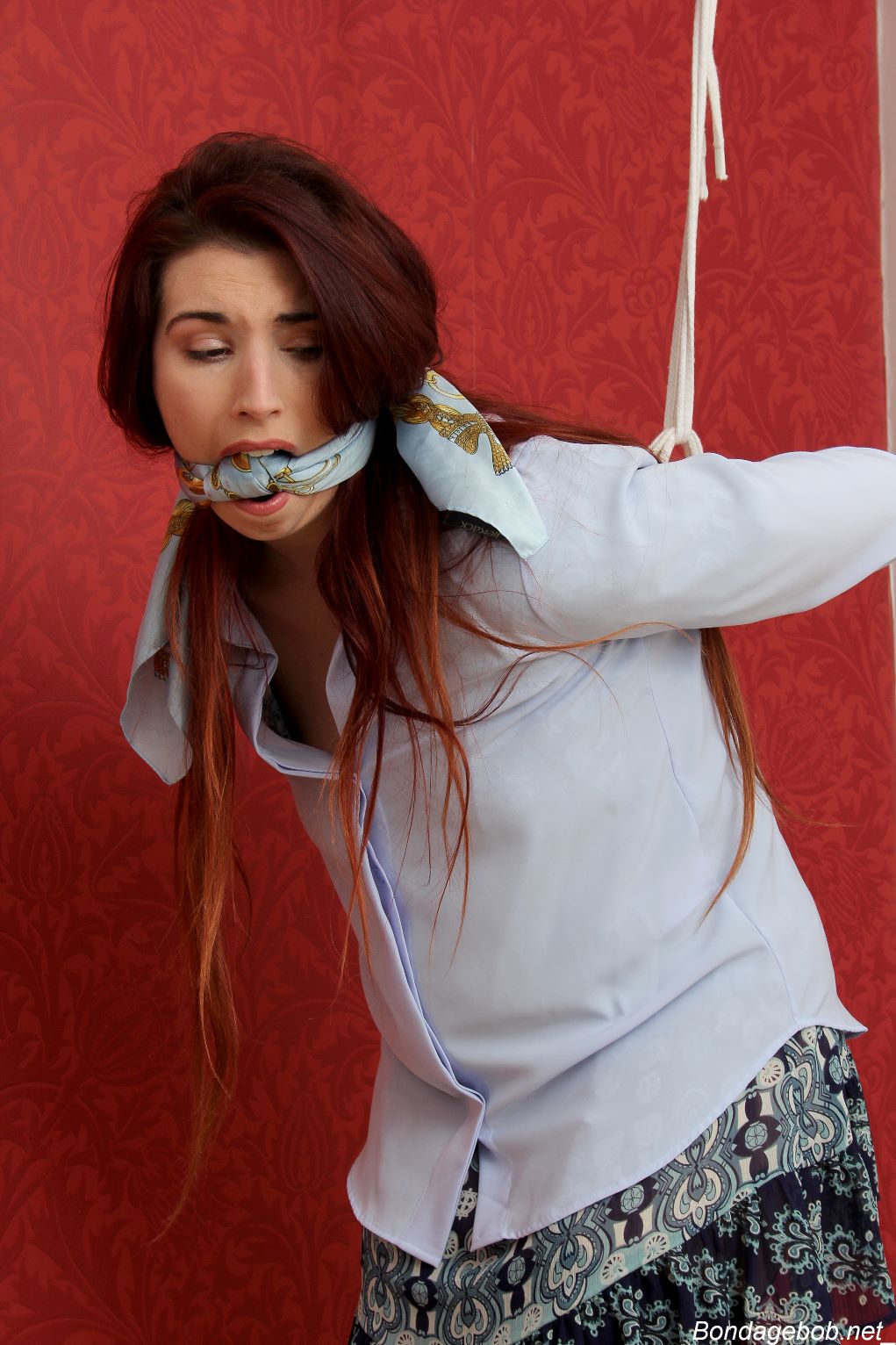 Tied Sexy Beauties 485-2