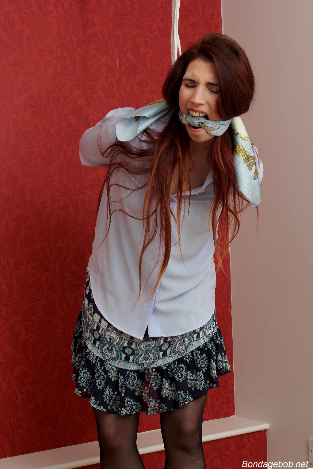 Tied Sexy Beauties 485-2