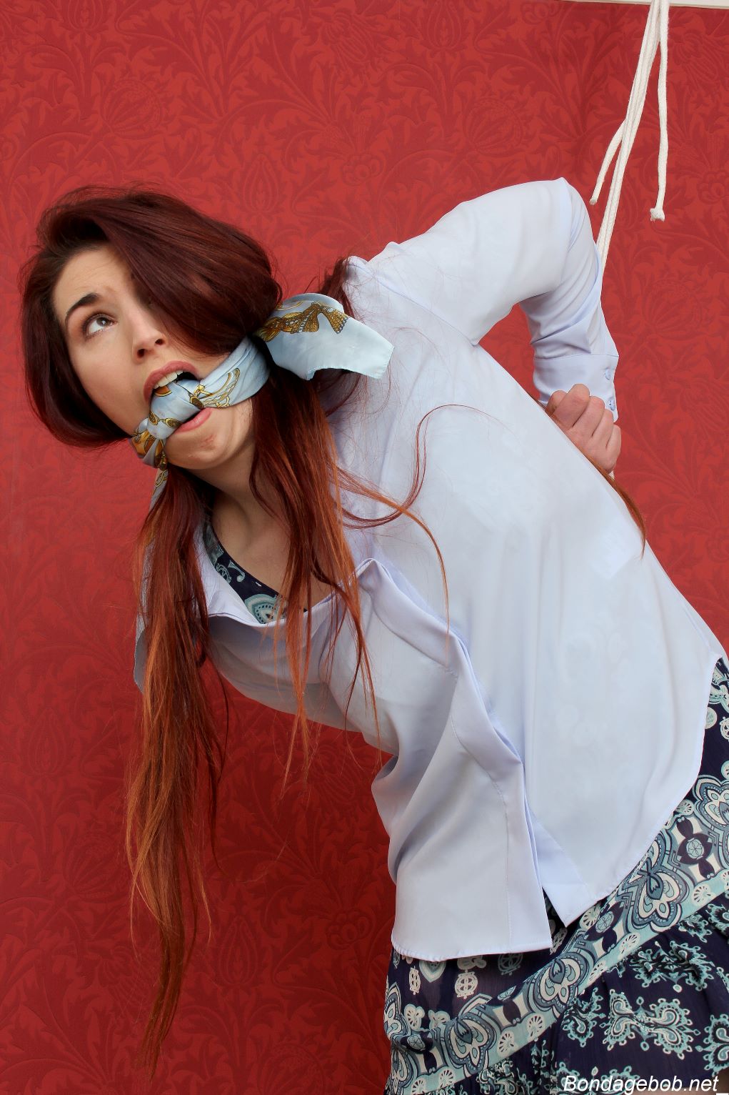 Tied Sexy Beauties 485-2