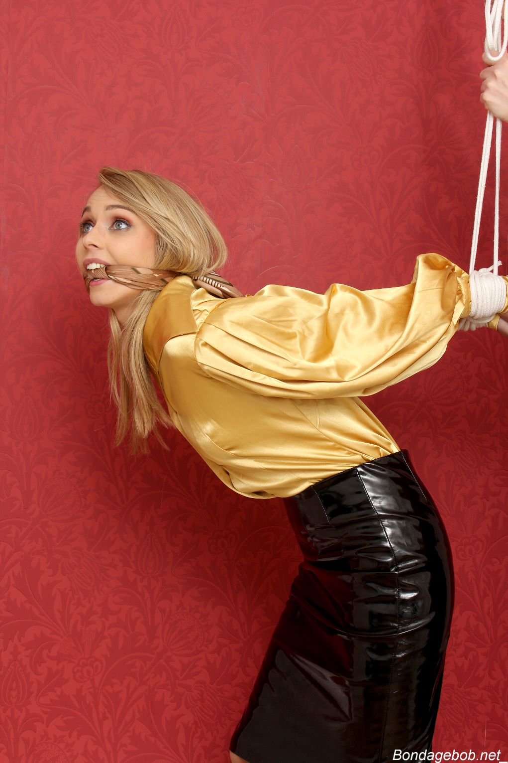 Tied Sexy Beauties 487-1