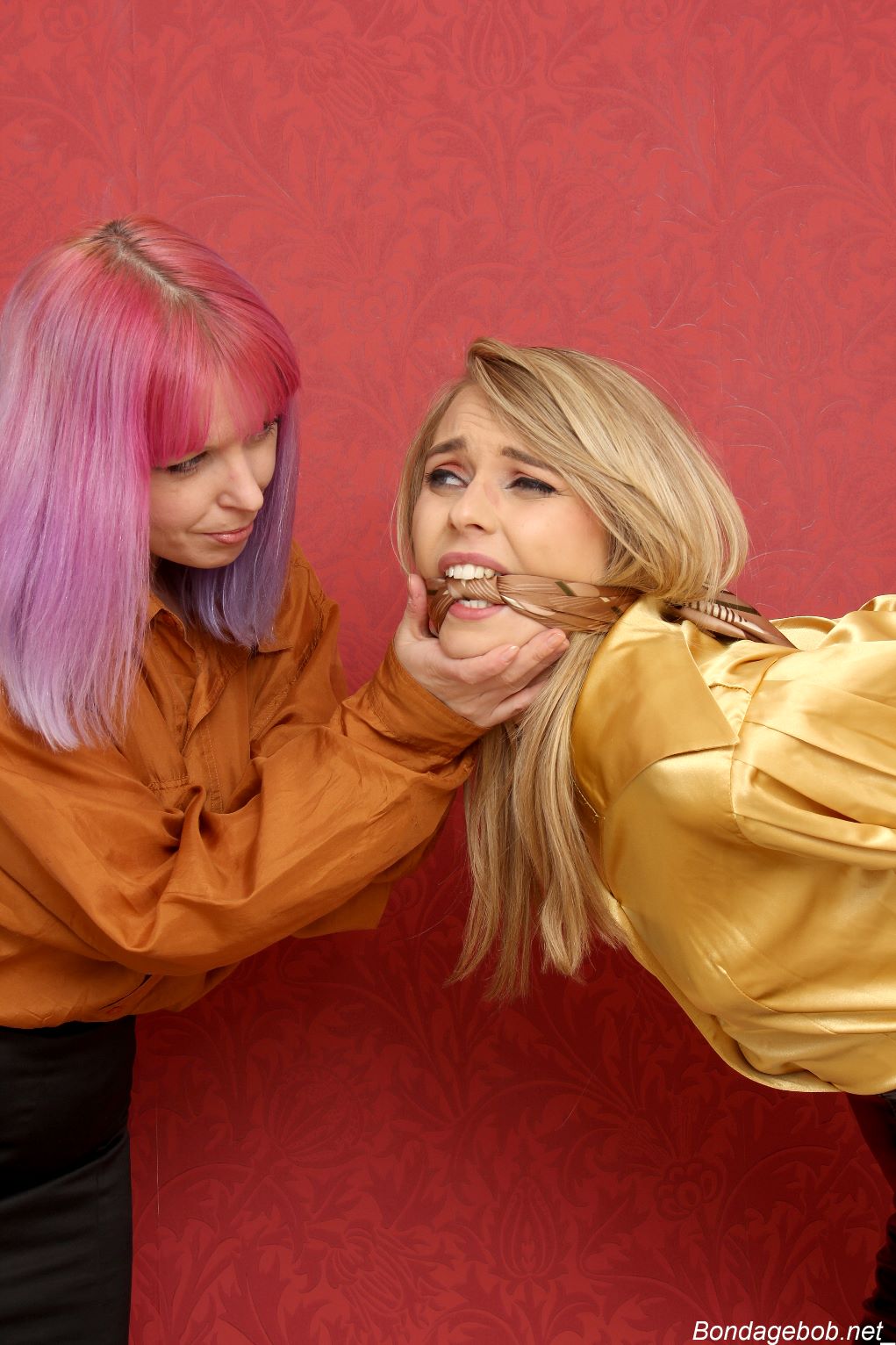 Tied Sexy Beauties 487-1