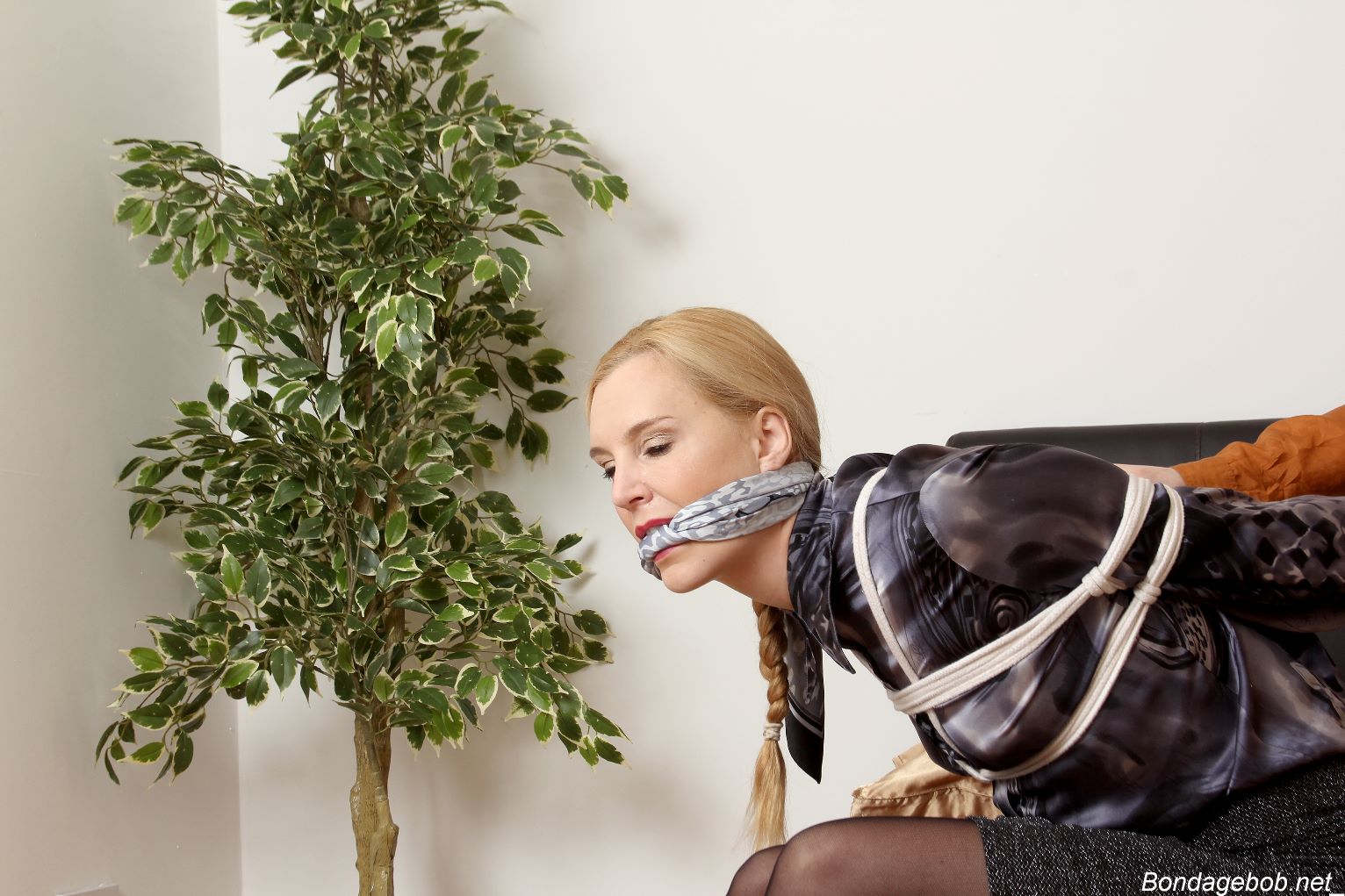 Tied Sexy Beauties 489-2