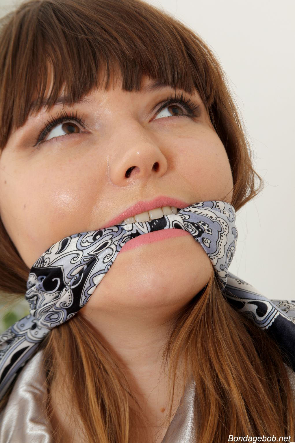 Tied Sexy Beauties 490-2