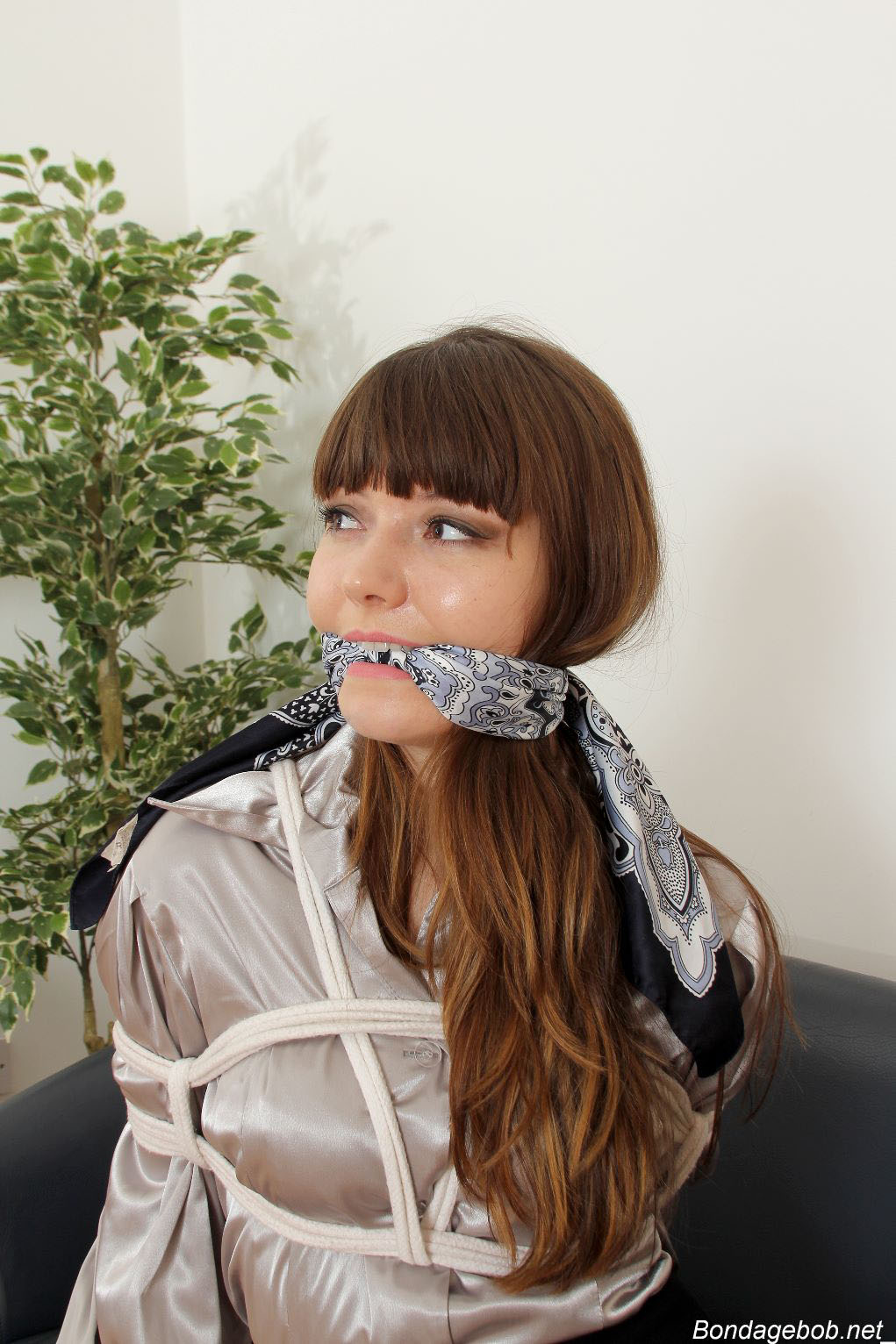 Tied Sexy Beauties 490-2