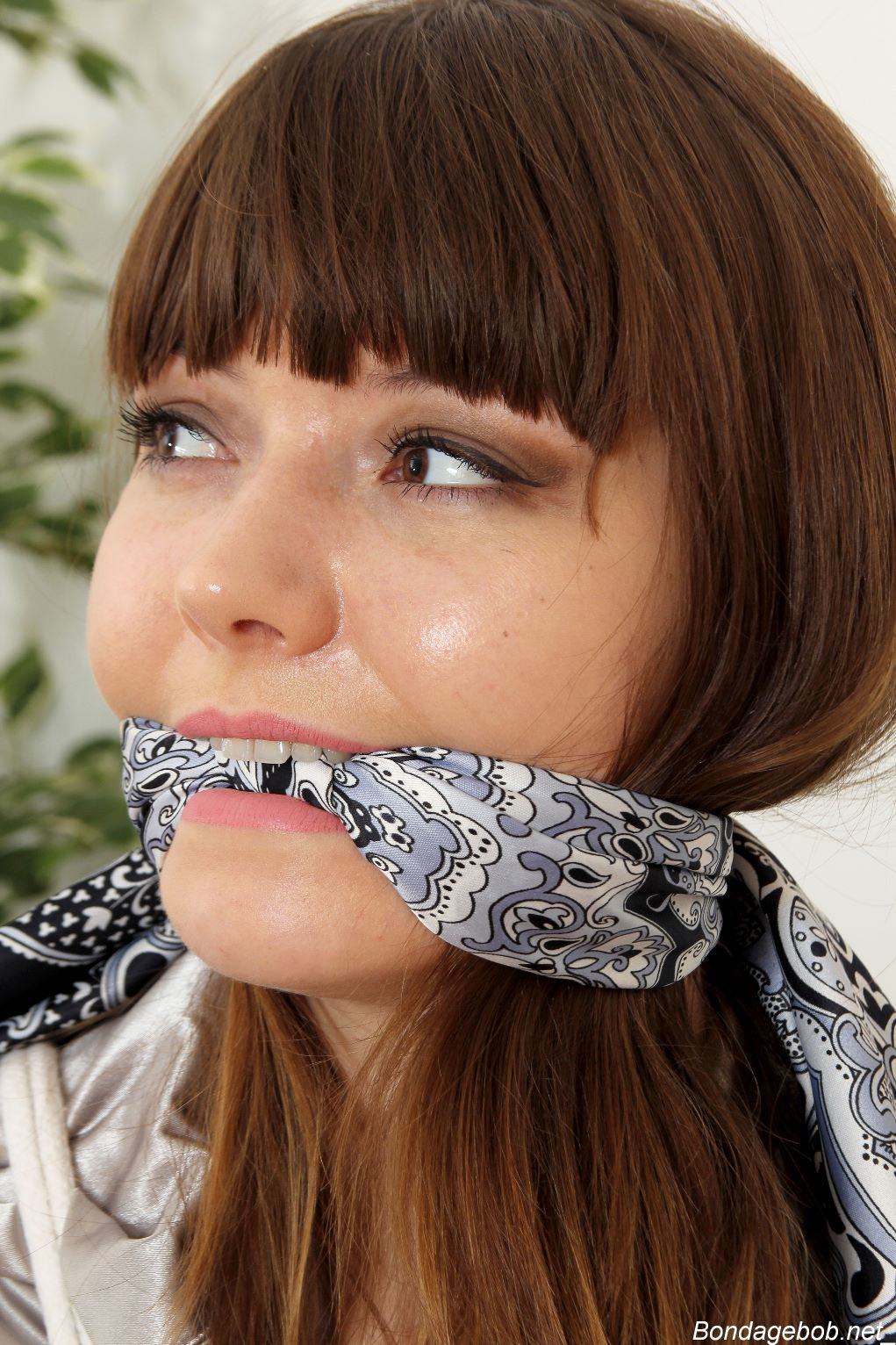 Tied Sexy Beauties 490-2