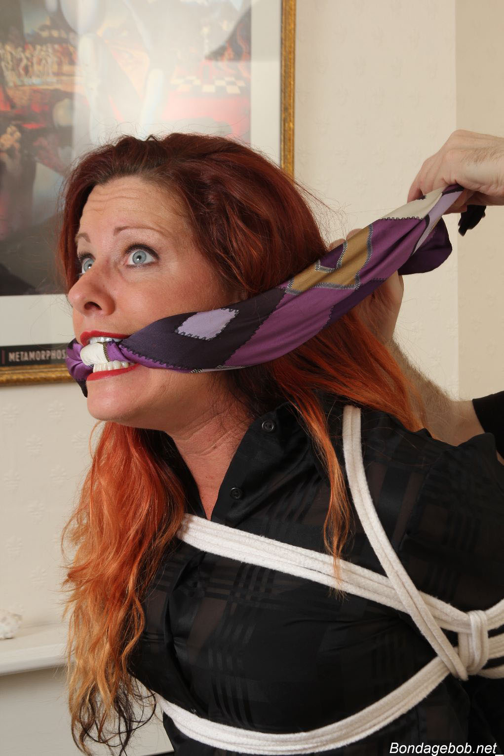 Tied Sexy Beauties 493-1