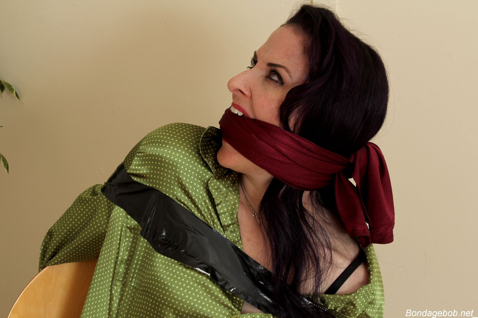 Tied Sexy Beauties 494-2