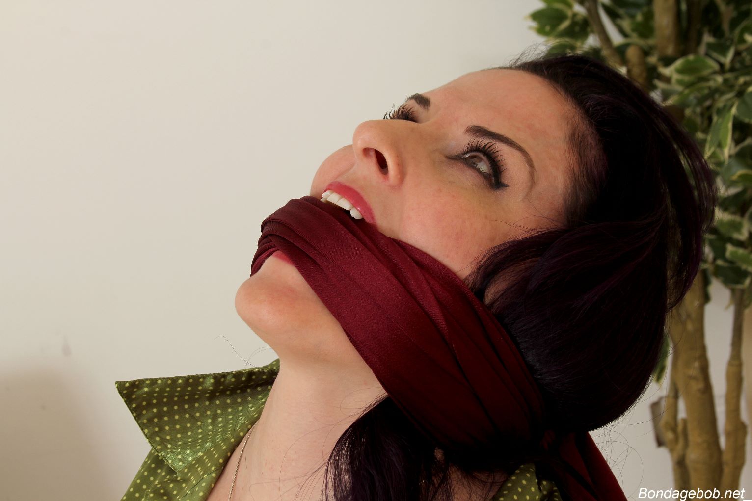 Tied Sexy Beauties 494-2